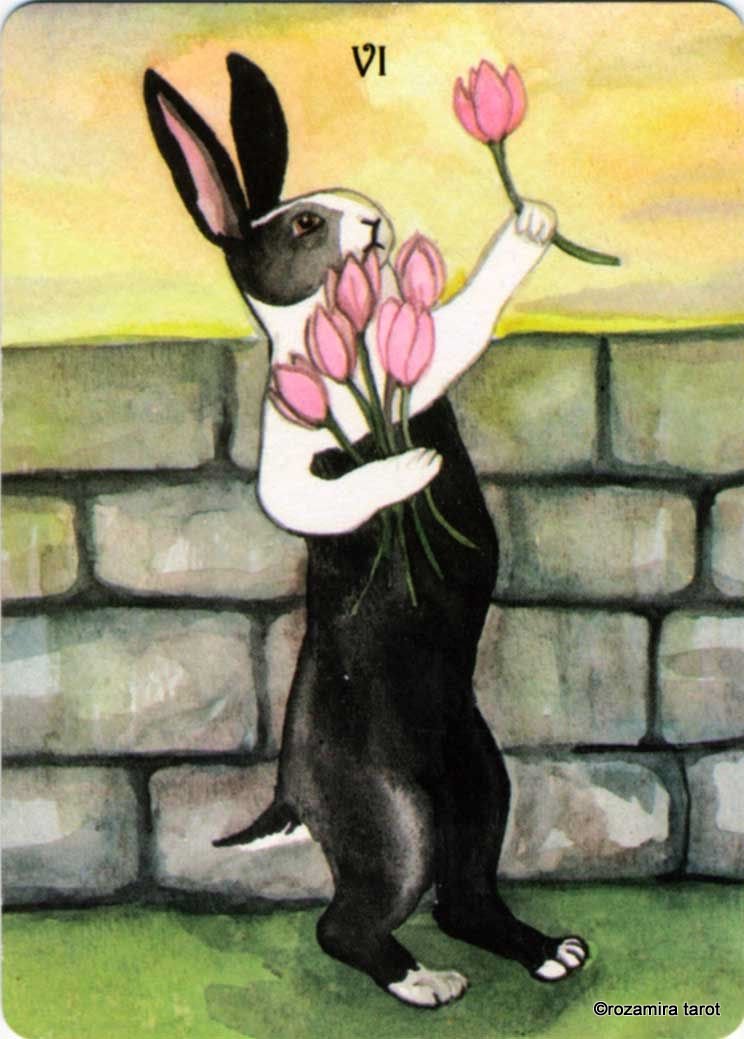 Rabbit Tarot